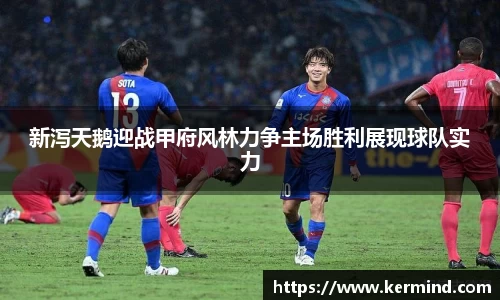乐玩lewin国际